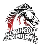 File:Sialkot-Stallions.jpg