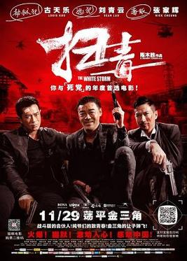 <i>The White Storm</i> 2013 Hong Kong-Chinese film