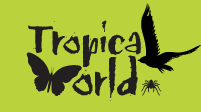 File:Tropical World Logo 2020.jpg