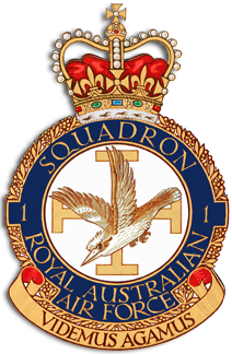 <span class="mw-page-title-main">No. 1 Squadron RAAF</span> Royal Australian Air Force squadron