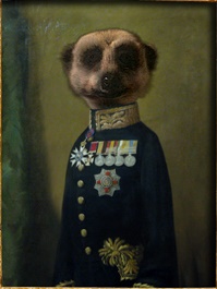 File:AleksandrOrlovmeerkat.jpg