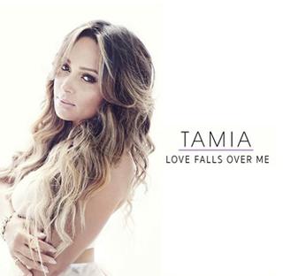 <span class="mw-page-title-main">Love Falls Over Me</span> 2015 single by Tamia