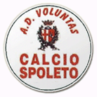 Voluntas Calcio Spoleto.gif