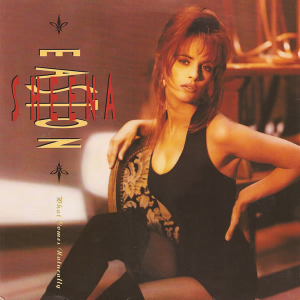 <span class="mw-page-title-main">What Comes Naturally (song)</span> 1991 single by Sheena Easton