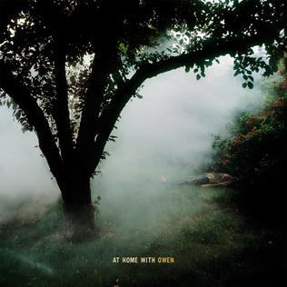 <i>At Home with Owen</i> 2006 studio album by Owen