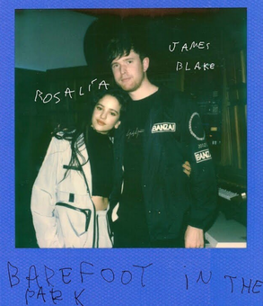 BarefootInTheParkJBxR ?Barefoot In The Park (song)1154249166