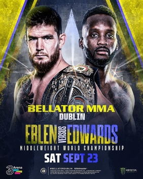 <span class="mw-page-title-main">Bellator 299</span> MMA event