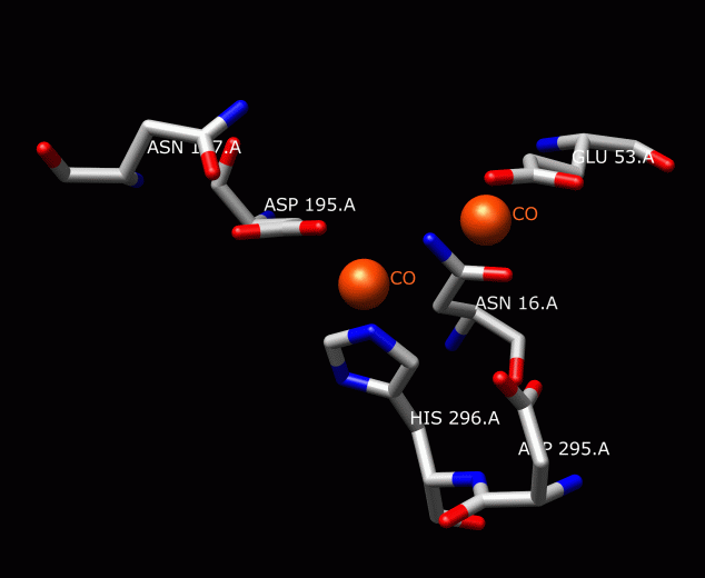 File:Cobaltactivesite.gif