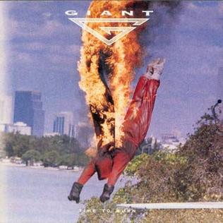 <i>Time to Burn</i> (Giant album) 1992 studio album by Giant
