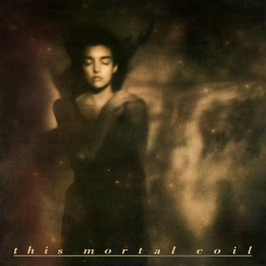 <i>Itll End in Tears</i> 1984 studio album by This Mortal Coil