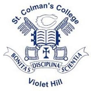 St Colmans College, Newry school in Newry, County Armagh, Northern Ireland