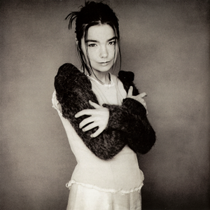 Human Behaviour 1993 single by Björk