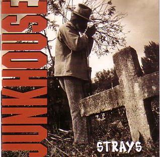 <i>Strays</i> (Junkhouse album) 1993 studio album by Junkhouse