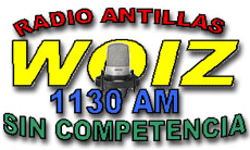 File:WOIZ-AM logo.png