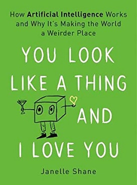 <i>You Look Like a Thing and I Love You</i> 2019 book by Janelle Shane