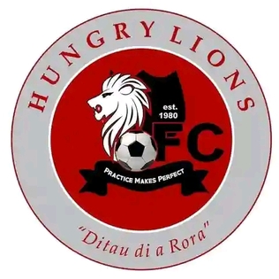 <span class="mw-page-title-main">Hungry Lions F.C.</span> South African football club