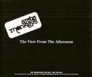 The View from the Afternoon 2006 promotional single by Arctic Monkeys