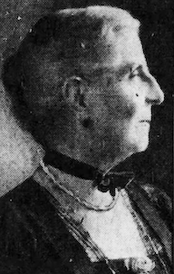 <span class="mw-page-title-main">Charlotte Everett Hopkins</span> American philanthropist (1851–1935)