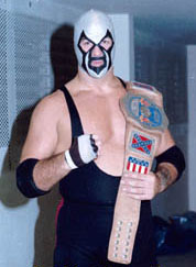 <span class="mw-page-title-main">The Spoiler (wrestler)</span>