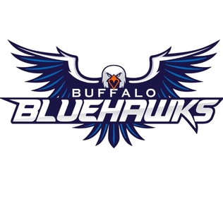 <span class="mw-page-title-main">Buffalo Blue Hawks</span> Defunct basketball team that played in Buffalo, New York