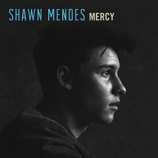 Mercy (Shawn Mendes song) - Wikipedia