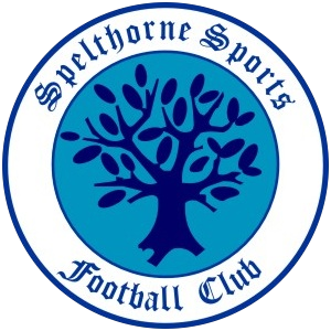 <span class="mw-page-title-main">Spelthorne Sports F.C.</span> Association football club in England