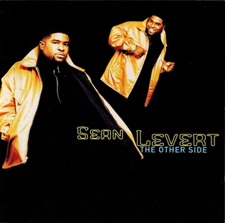 <i>The Other Side</i> (Sean Levert album) 1995 studio album by Sean Levert