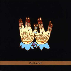 <i>Neshamah</i> (album) 1999 studio album by Tim Sparks