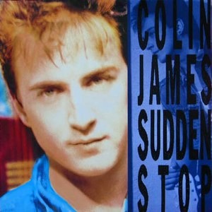 <i>Sudden Stop</i> 1990 studio album by Colin James