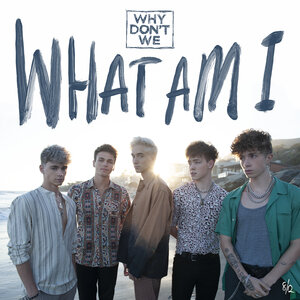 <span class="mw-page-title-main">What Am I</span> 2019 song by Why Dont We