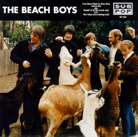 <span class="mw-page-title-main">I Just Wasn't Made for These Times</span> 1966 song by the Beach Boys