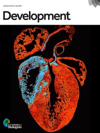 File:Cover of Development Volume 143, Issue 13 (2019).jpg