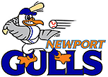 <span class="mw-page-title-main">Newport Gulls</span>