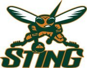 Western Pennsylvania Sting Logo WPSting.jpg