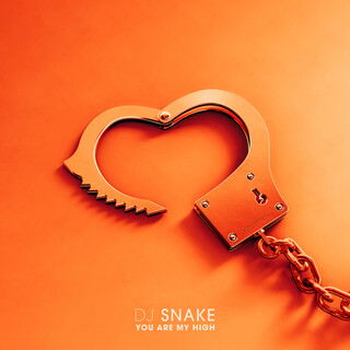 Let Me Love You (DJ Snake song) - Wikipedia