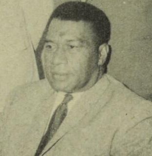 <span class="mw-page-title-main">Napolioni Dawai</span> Fijian chief and politician