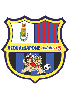 <span class="mw-page-title-main">Acqua e Sapone Calcio a 5</span> Italian futsal club