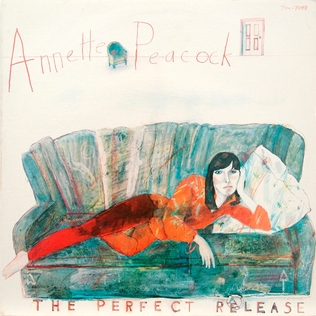 <i>The Perfect Release</i> 1979 studio album by Annette Peacock