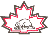 <span class="mw-page-title-main">Niagara Falls Canucks</span> Ice hockey team in Ontario, Canada
