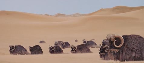 File:Return of the Jedi bantha herd.jpg