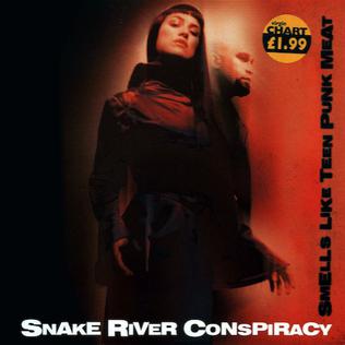 <i>Smells Like Teen Punk Meat</i> 2000 single by Snake River Conspiracy