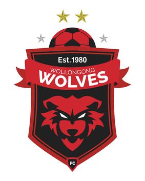 File:Wollongong Wolves FC.jpg