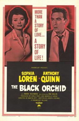 Black Orchid (comics) - Wikipedia