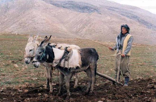 File:Iraqvillagealqosh9.JPG