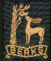 County badge as worn on the uniform of Scouting members in Royal Berkshire Royal Berkshire Scout County (The Scout Association).png