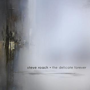 <i>The Delicate Forever</i> 2014 studio album by Steve Roach