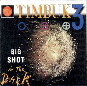 <i>Big Shot in the Dark</i> 1991 studio album by Timbuk 3