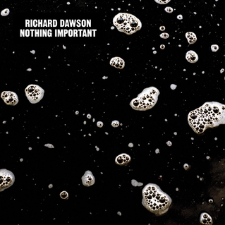 <i>Nothing Important</i> 2014 studio album by Richard Dawson