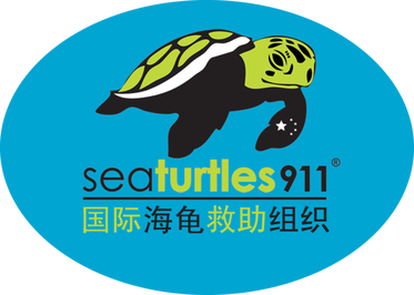 File:Sea Turtles 911 Logo.png