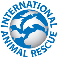 International Animal Rescue - Wikipedia